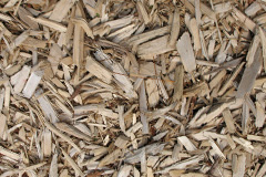 biomass boilers Cadoxton